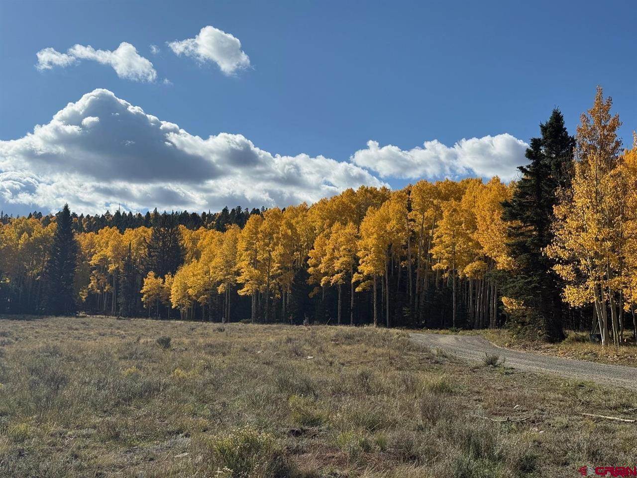 121 Ridge Road, Cimarron, CO 81220