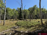 121 Ridge Road, Cimarron, CO 81220
