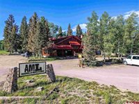 121 Ridge Road, Cimarron, CO 81220