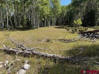 121 Ridge Road, Cimarron, CO 81220