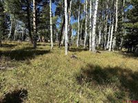 121 Ridge Road, Cimarron, CO 81220