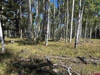 121 Ridge Road, Cimarron, CO 81220