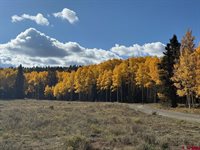 121 Ridge Road, Cimarron, CO 81220