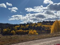 121 Ridge Road, Cimarron, CO 81220