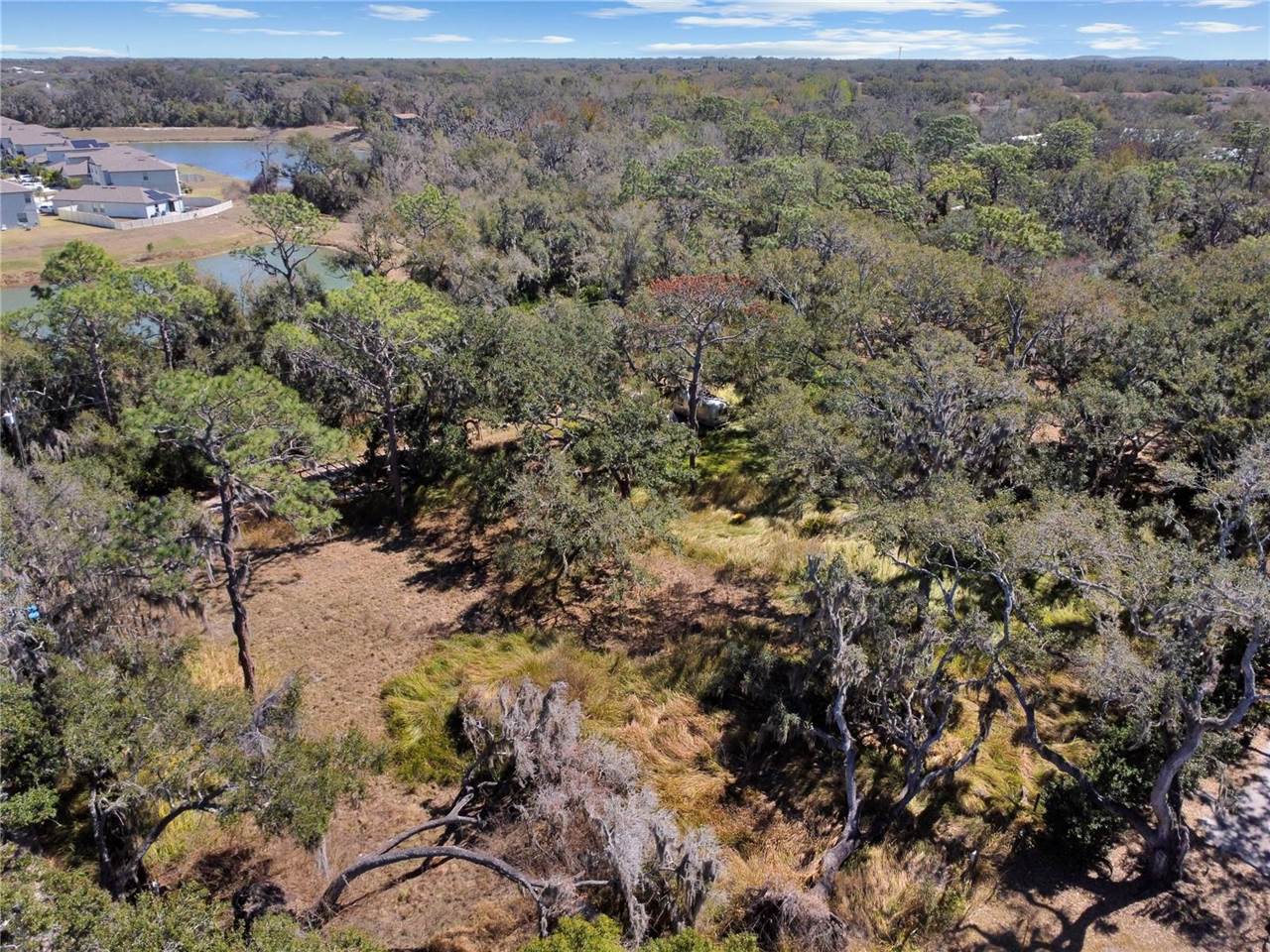 12111 Fred Drive, Riverview, FL 33578