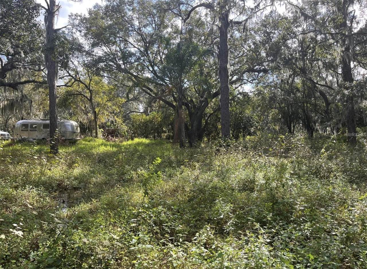 12111 Fred Drive, Riverview, FL 33578