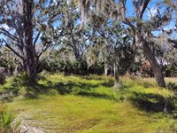 12111 Fred Drive, Riverview, FL 33578