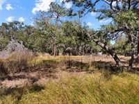 12111 Fred Drive, Riverview, FL 33578