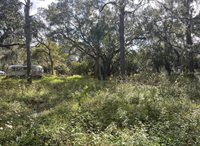 12111 Fred Drive, Riverview, FL 33578