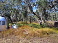 12111 Fred Drive, Riverview, FL 33578