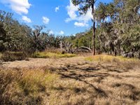 12111 Fred Drive, Riverview, FL 33578