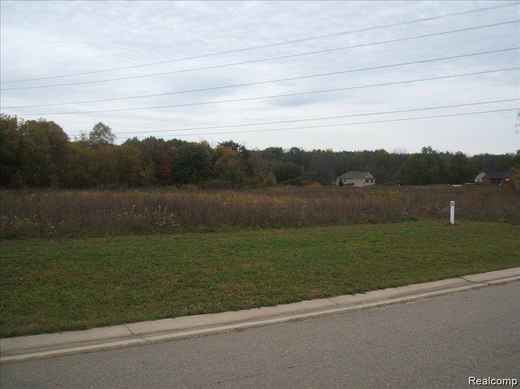 0000 Birch Meadows Lane, HandyTownship_Livingston, MI 48836