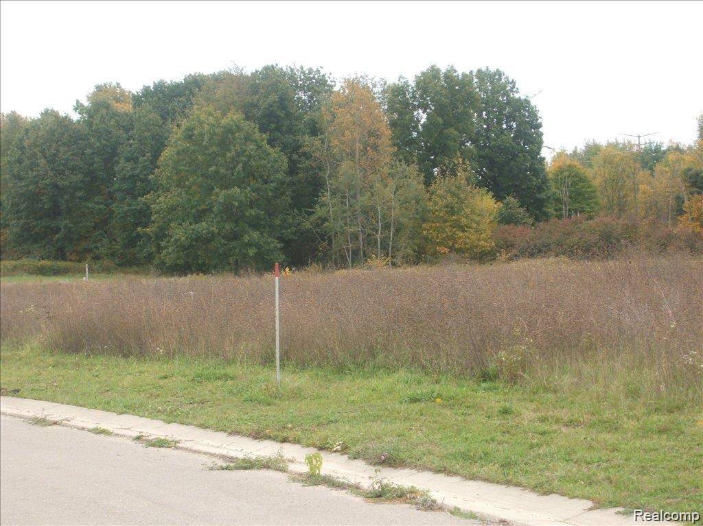 0000 Birch Meadows Lane, HandyTownship_Livingston, MI 48836