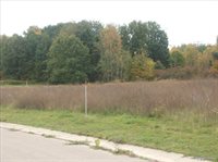 0000 Birch Meadows Lane, HandyTownship_Livingston, MI 48836