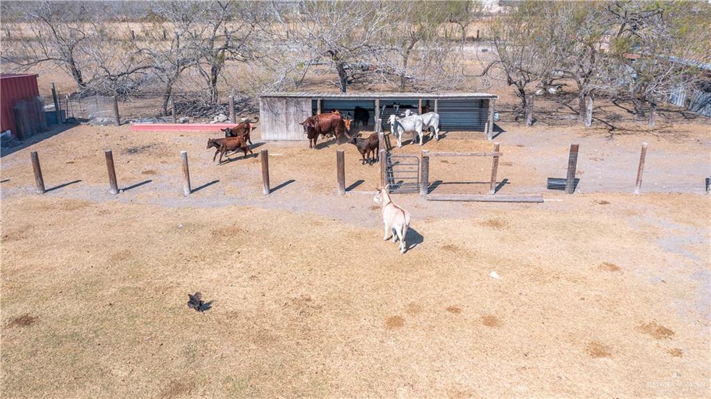 14509 North Fm 88 Street, Weslaco, TX 78599