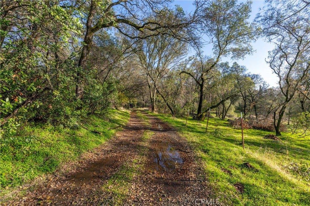 351 Oakvale, Oroville, CA 95966