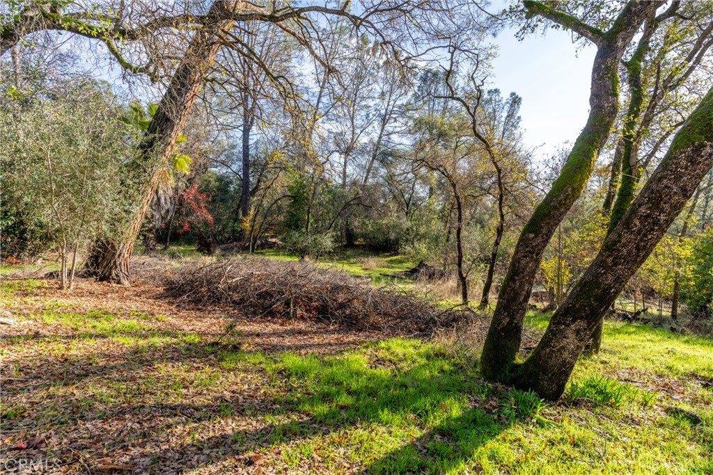 351 Oakvale, Oroville, CA 95966