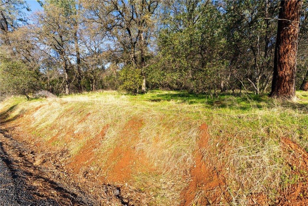 351 Oakvale, Oroville, CA 95966