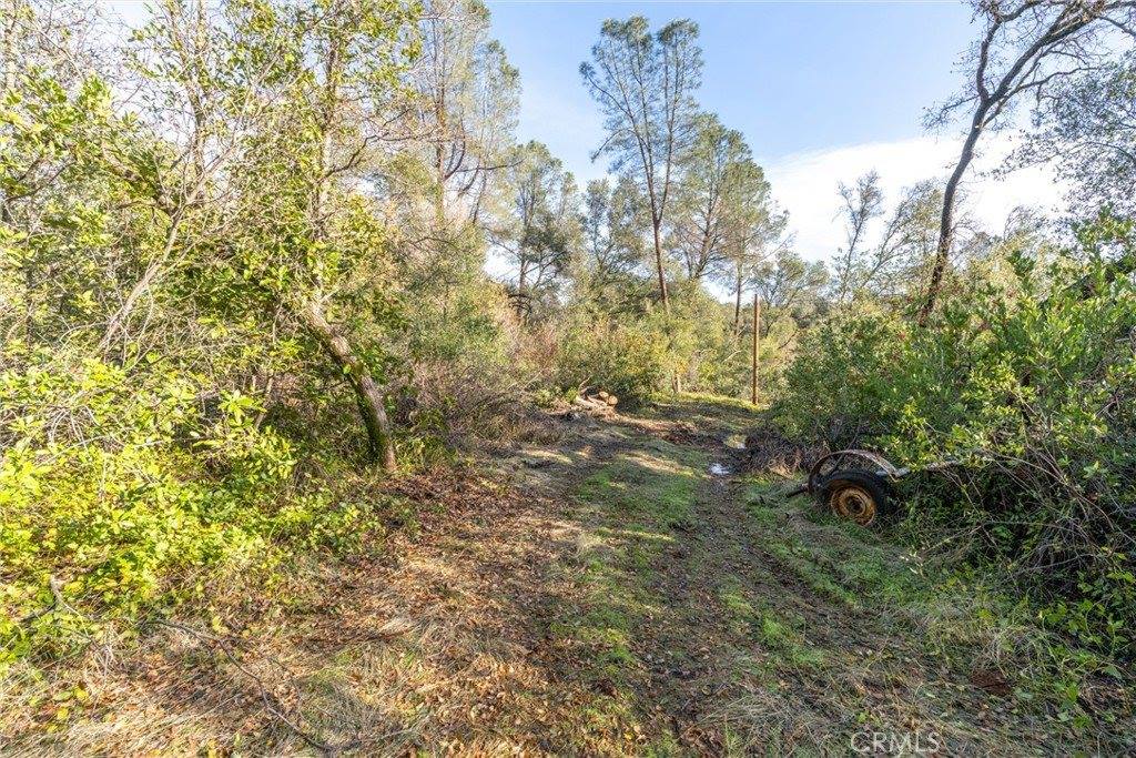 351 Oakvale, Oroville, CA 95966