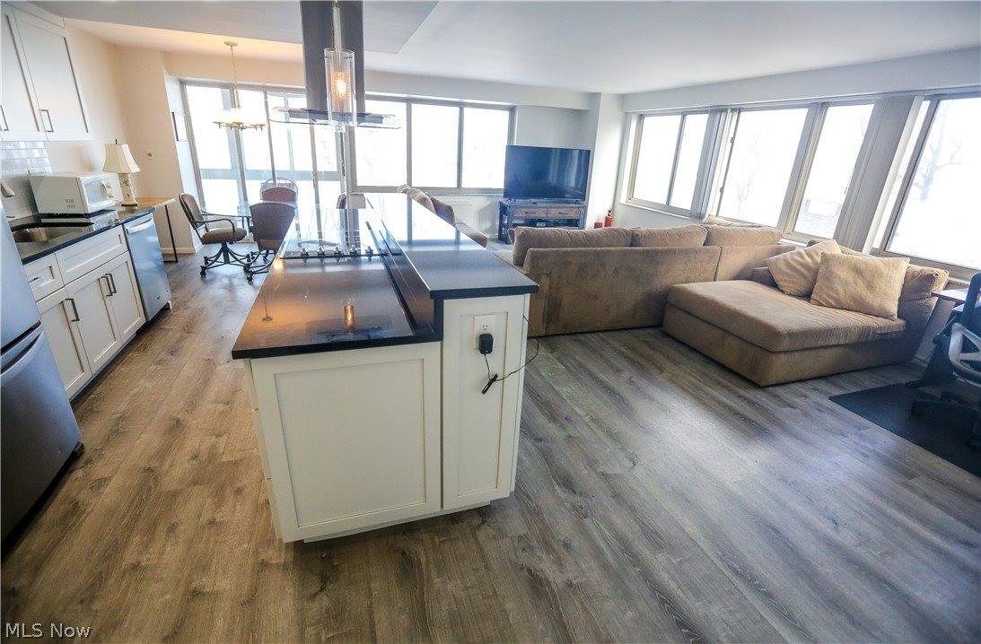 12520 Edgewater Drive, #306, Lakewood, OH 44107