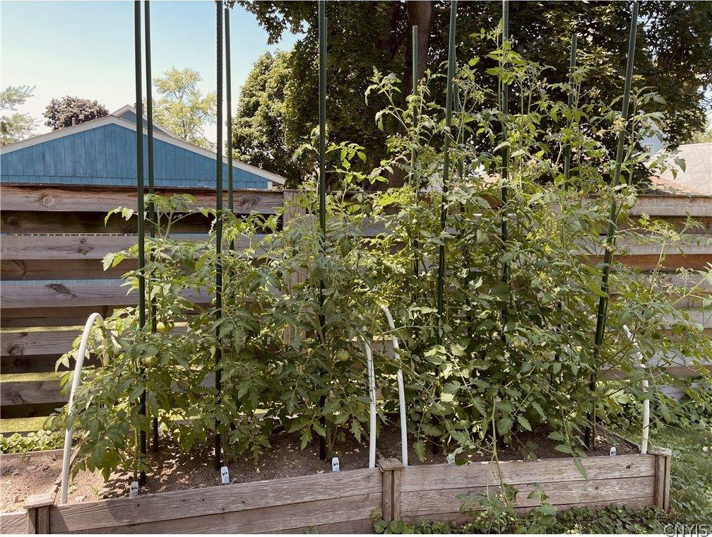 109 Allen Street, DeWitt, NY 13057