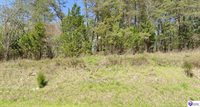 1.91 AC Brier Creek Road, Mammoth Cave, KY 42259