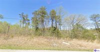 1.91 AC Brier Creek Road, Mammoth Cave, KY 42259