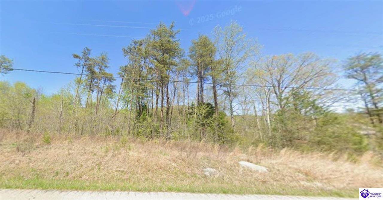 1.68AC Brier Creek Road, Mammoth Cave, KY 42259