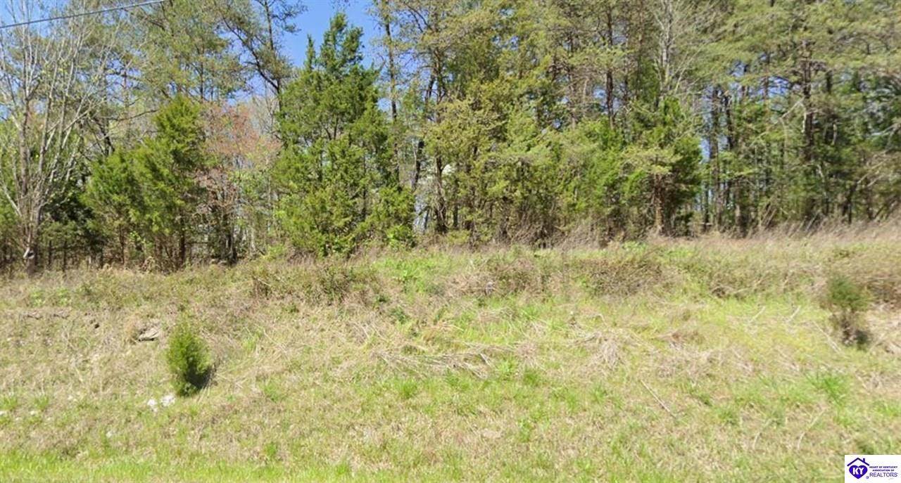 0.23 AC Brier Creek Road, Mammoth Cave, KY 42259