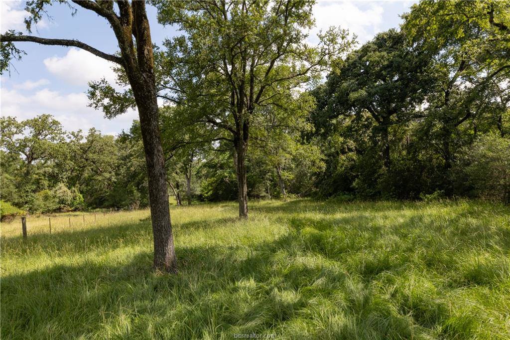 1691 Navasota Ridge Rd, Navasota, TX 77868