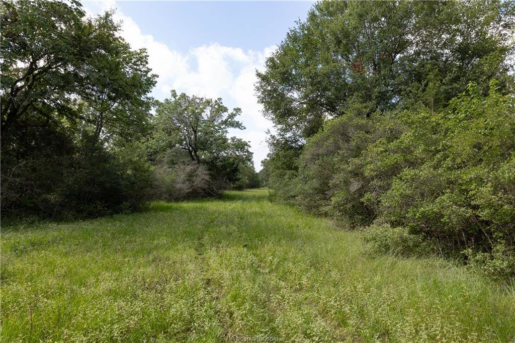 1691 Navasota Ridge Rd, Navasota, TX 77868