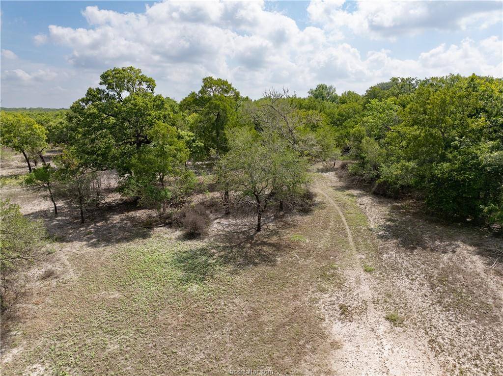 1691 Navasota Ridge Rd, Navasota, TX 77868