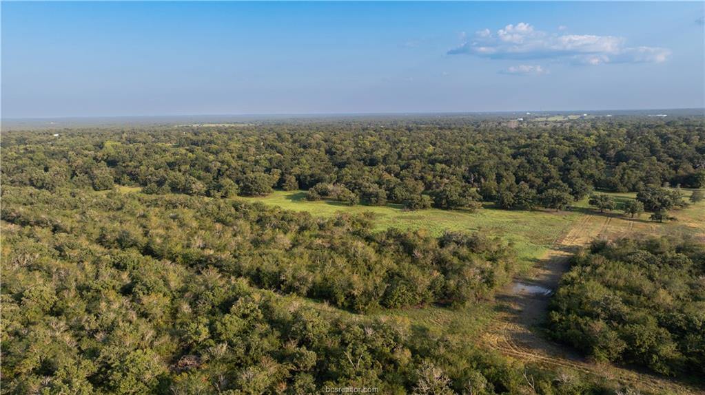 1691 Navasota Ridge Rd, Navasota, TX 77868