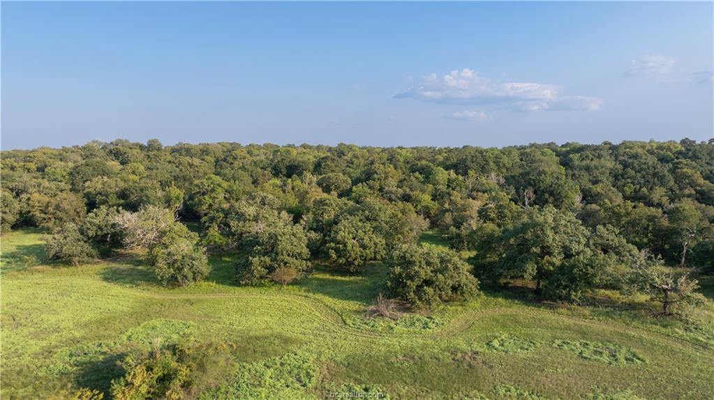 1691 Navasota Ridge Rd, Navasota, TX 77868