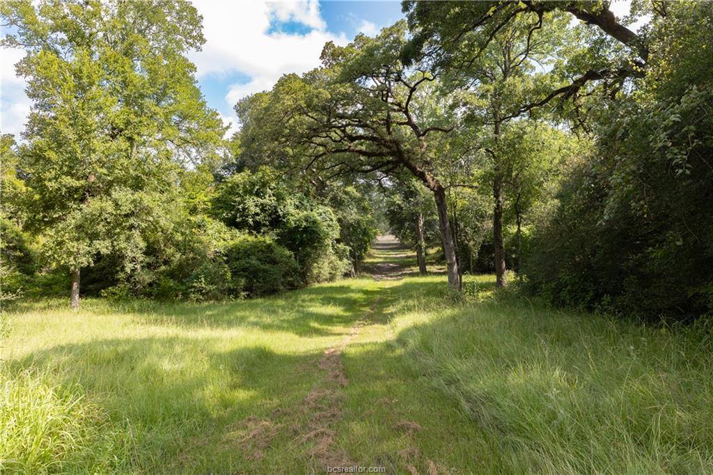 1691 Navasota Ridge Rd, Navasota, TX 77868