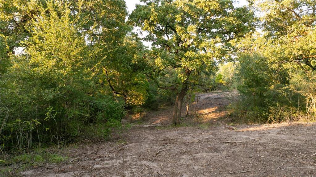 1691 Navasota Ridge Rd, Navasota, TX 77868