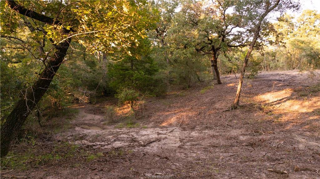 1691 Navasota Ridge Rd, Navasota, TX 77868