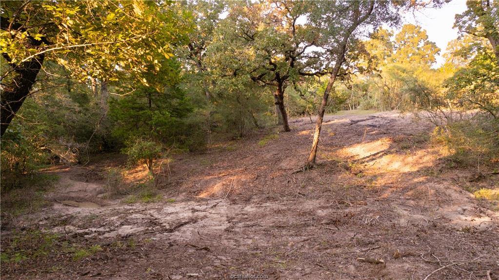 1691 Navasota Ridge Rd, Navasota, TX 77868