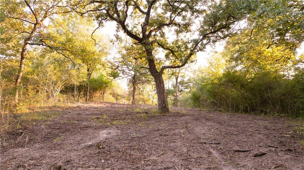 1691 Navasota Ridge Rd, Navasota, TX 77868