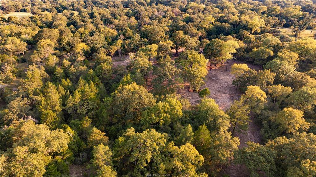 1691 Navasota Ridge Rd, Navasota, TX 77868