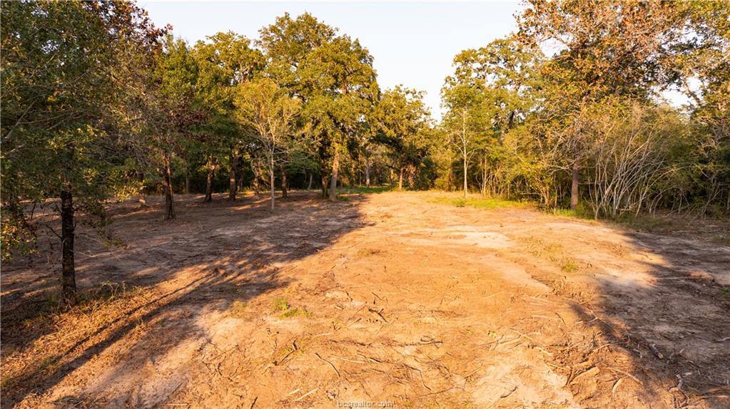 1691 Navasota Ridge Rd, Navasota, TX 77868