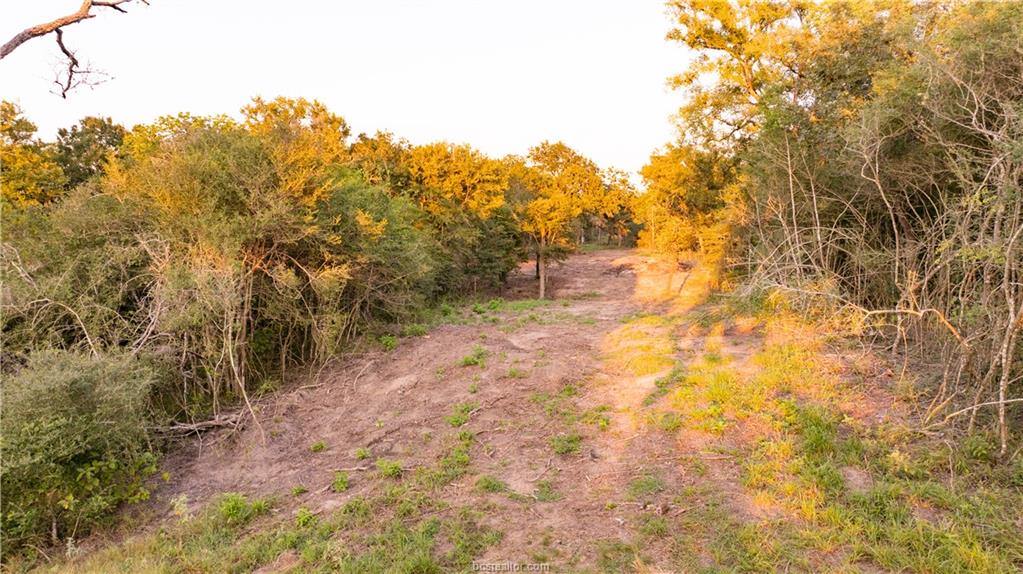 1691 Navasota Ridge Rd, Navasota, TX 77868