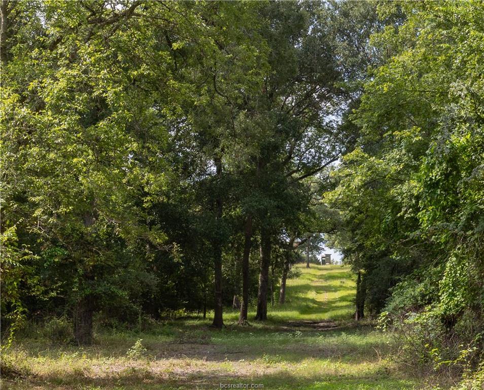 1691 Navasota Ridge Rd, Navasota, TX 77868