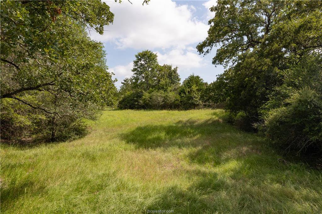 1691 Navasota Ridge Rd, Navasota, TX 77868