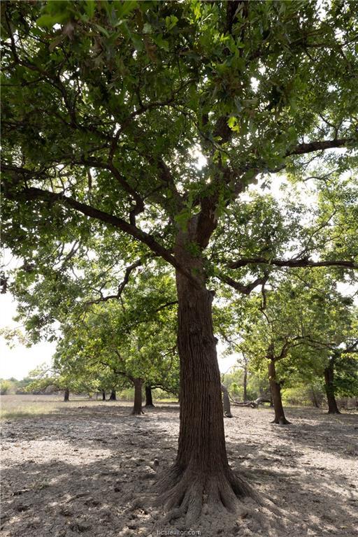 1691 Navasota Ridge Rd, Navasota, TX 77868