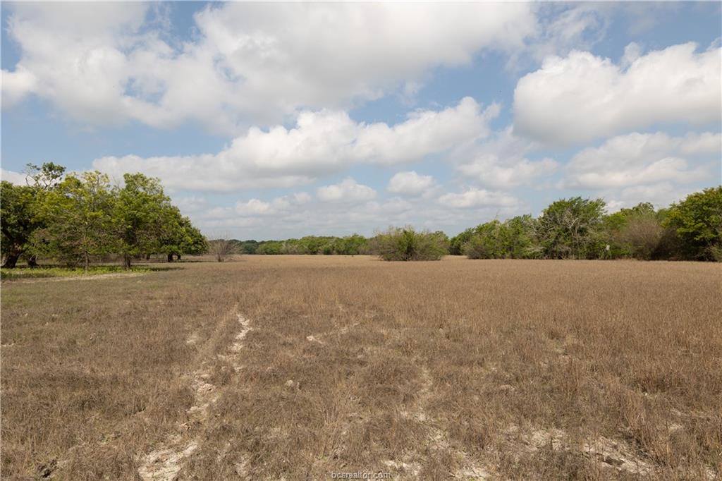 1691 Navasota Ridge Rd, Navasota, TX 77868