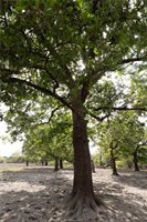 1691 Navasota Ridge Rd, Navasota, TX 77868