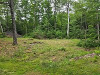 81 Spencer Road, Brownville, ME 04414