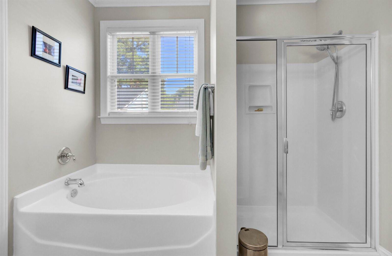 1010 Mount Whitney Drive, Summerville, SC 29483