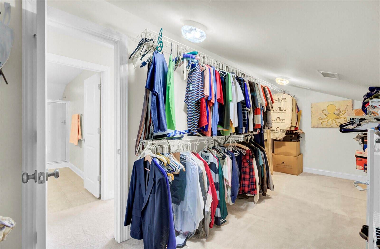 1010 Mount Whitney Drive, Summerville, SC 29483